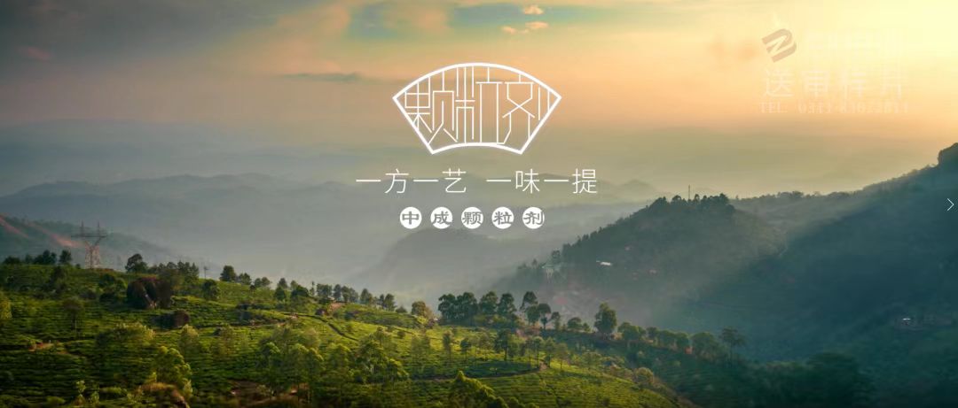 舌尖上的中藥:隱藏在山林間的驚喜(圖5) 05.jpg