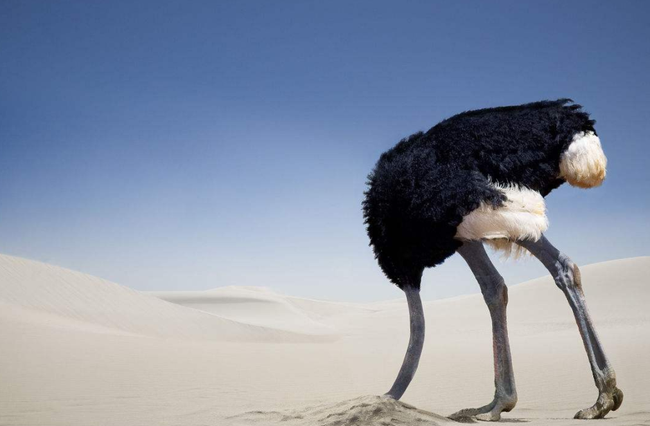 SORA橫空出世,我們該做什么?(圖13) 微信圖片_20240416110036.png